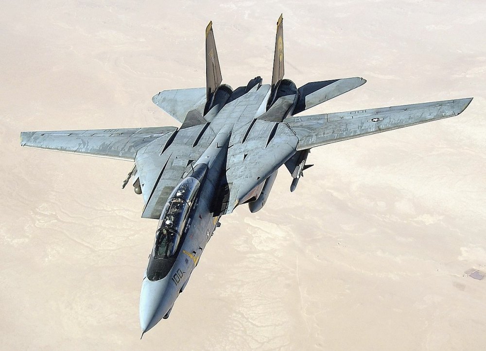 1200px-US_Navy_051105-F-5480T-005_An_F-14D_Tomcat_conducts_a_mission_over_the_Persian_Gulf-region.thumb.jpg.f054c22b222fc1d0e9f42f2f45e62085.jpg