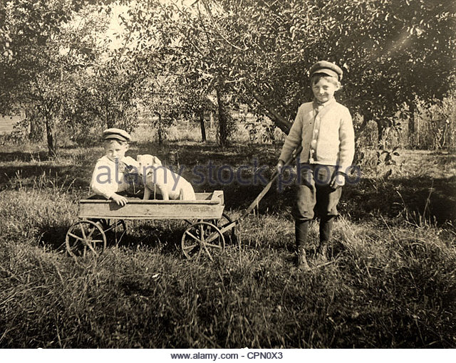 older-brother-pulling-younger-brother-dog-in-wagon-cpn0x3.jpg.de77a3cd3a6f094dd9beb2b0f1f8d043.jpg