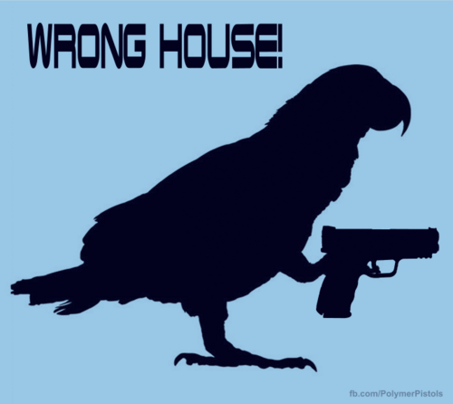 Wrong House African Gray Springfield