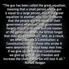Ronald Reagan Great Equalizer