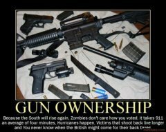 Gun Ownership