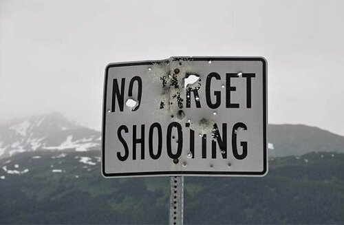 No-Target-Shooting-Sign-With-Holes.jpg.af714d7f0324cb5e05f5c7a677612677.jpg