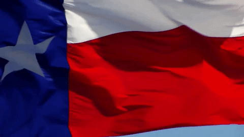 Texas_Flag_Waving_2.gif.a0ce38db13b3c76535134f4cc7f94d56.gif