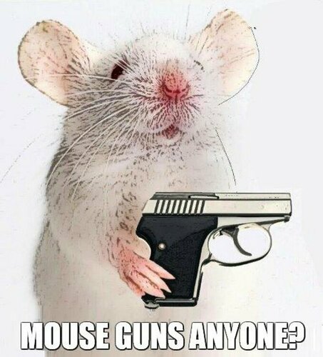 mousegun0.jpg