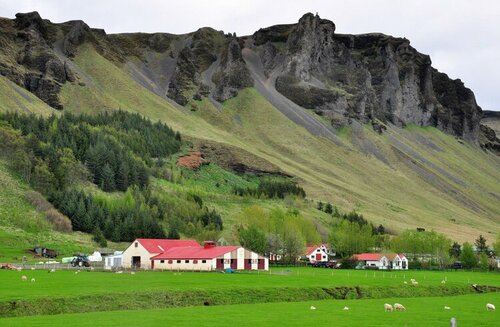 Icelandic farm..jpeg