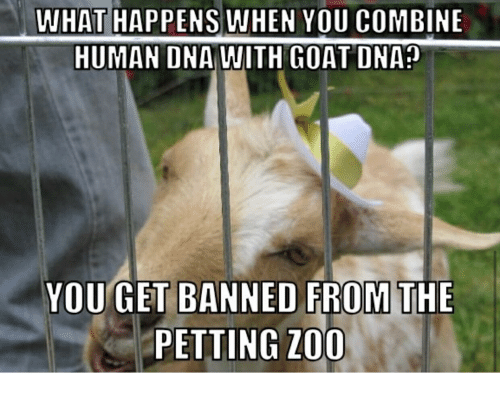 what-happenswhen-you-combine-human-dna-with-goat-dna-35739196.png