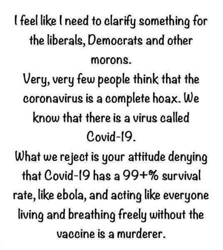 Coronavirus - Clarification For Liberals And Morons.jpg