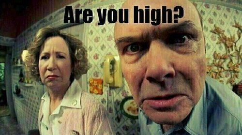 are you high.jpg