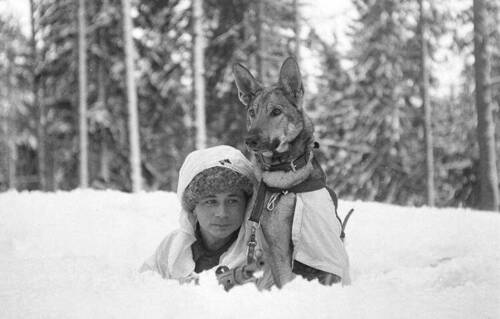 Finland_during_WW2 (21).jpg