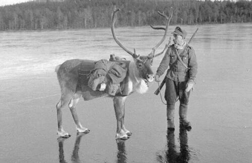 Finland_during_WW2.jpg.1cd756da26e19f7d9eb5a332269d429d.jpg