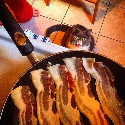 Bacon - Aroma Hypnosis.jpg