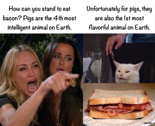 Bacon - Pigs - 4th Most Intelligent Animal - 1st Most Flavorful.png