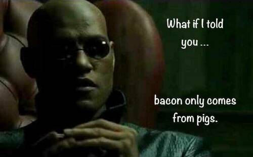 Bacon - Morpheus - What If i Told You ... Bacon Only Comes From Pigs.jpg
