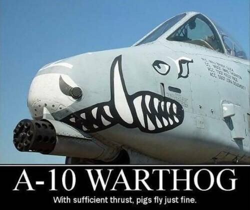 A-10 - With Sufficient Thrust Pigs Can Fly.jpg