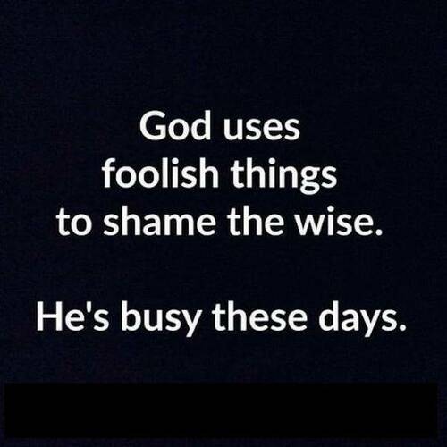 God Uses Foolish Things To Shame The Wise - He's Busy These Days.jpg