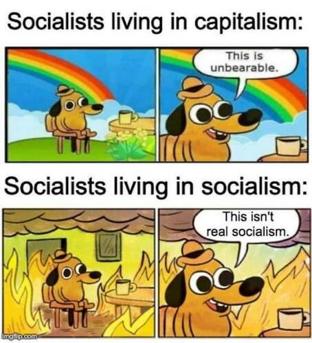 605647355_Socialists-LivingInCapitalismVsSocialism.jpg.80f5c076da553837c27cec63e9be2437.jpg