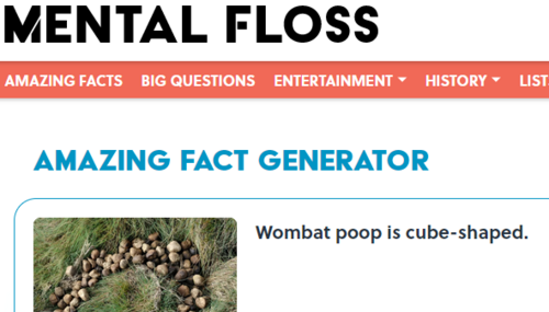 wombat poop.PNG