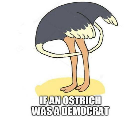ostrich1.jpg
