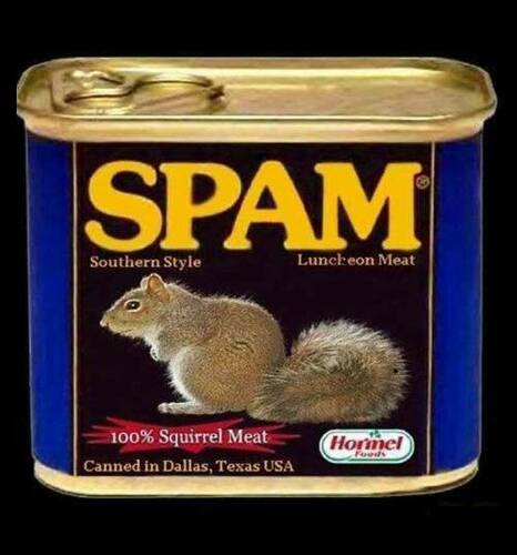 Spam - Squirrel - Southern Recipe.jpg