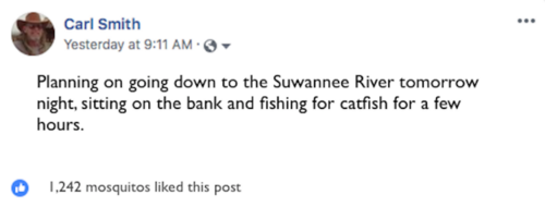 Fishing At The River - Mosquitos Liked This Post.png