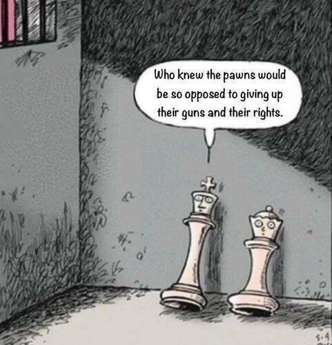 2nd Amendment - Chess - Pawns Vs King And Queen.jpg