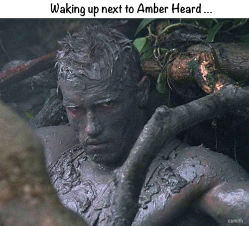 Amber Heard - Depp - Scharzeneger - Poop In Bed.png
