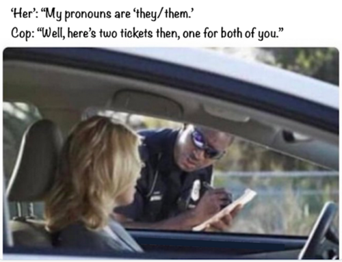 Pronouns - They:Them - Multiple Tickets.png