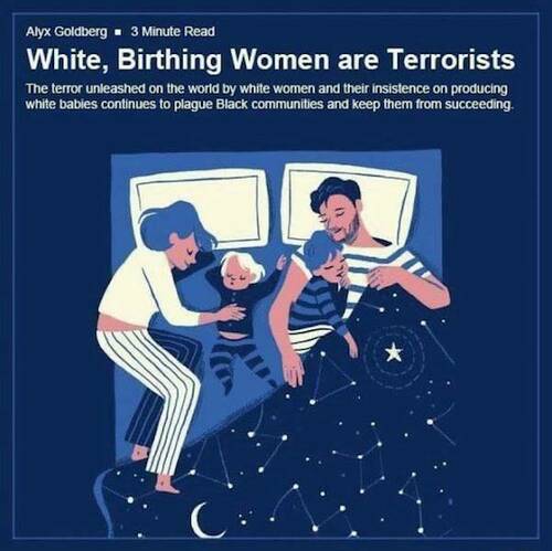 00 White Birthing Terrorists - Fake BUT - How White Women Use Themselves as Instruments of Terror - Charles Blow - https:::www.nytimes.com:2020:05:27:opinion:racism-white-women.html.jpg