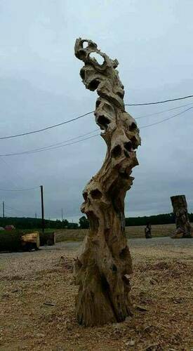 Skulls Carved In Dead Tree - Carlos Barreto.jpeg