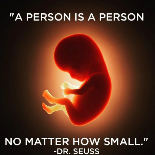 Baby - A Human Is A Human No Matter How Small - Dr. Seuss.png