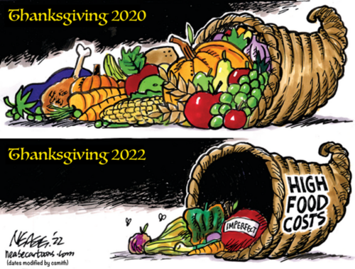 Thanksgiving - 2020 Vs 2022 - Cartoon.png