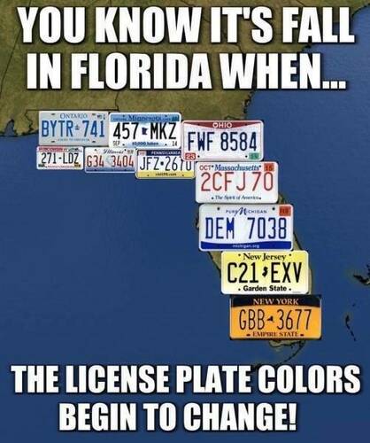 00 Florida - Fall - License Plates Change Color - Yankee.jpg